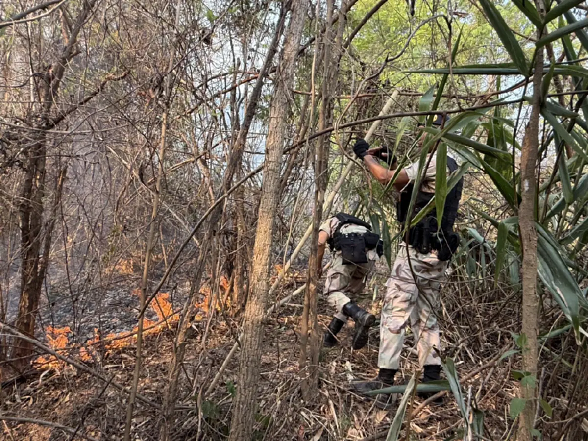 เลยวิกฤติหนัก! PM2.5 พุ่งแดงต่อเนื่อง ไฟป่าปะทุวันเดียว 54 จุด