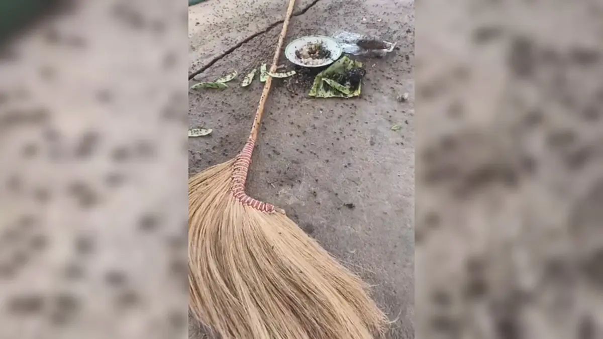 เดือดร้อนหนักวิกฤตแมลงวันบุกหมู่บ้าน! นับแสนตัวเกลื่อนบ้าน