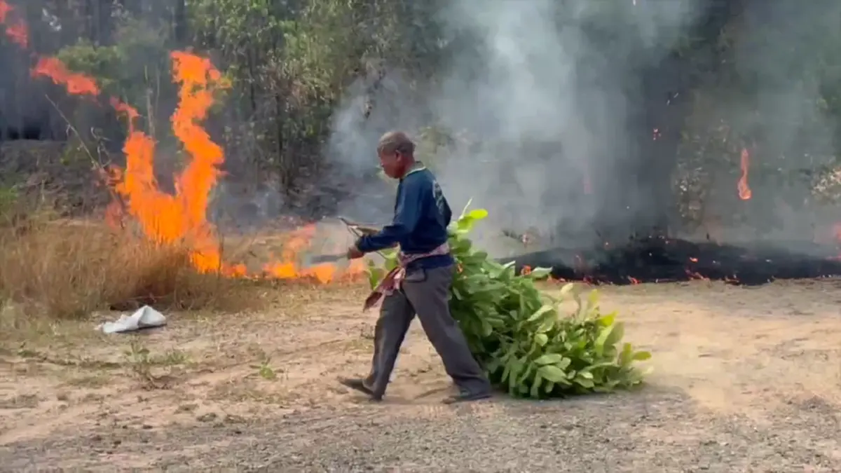 ไฟไหม้ป่าโคกหินลาดวอด 500 ไร่ สัตว์ป่าหนีตาย-คาดมือเผาหาของป่า