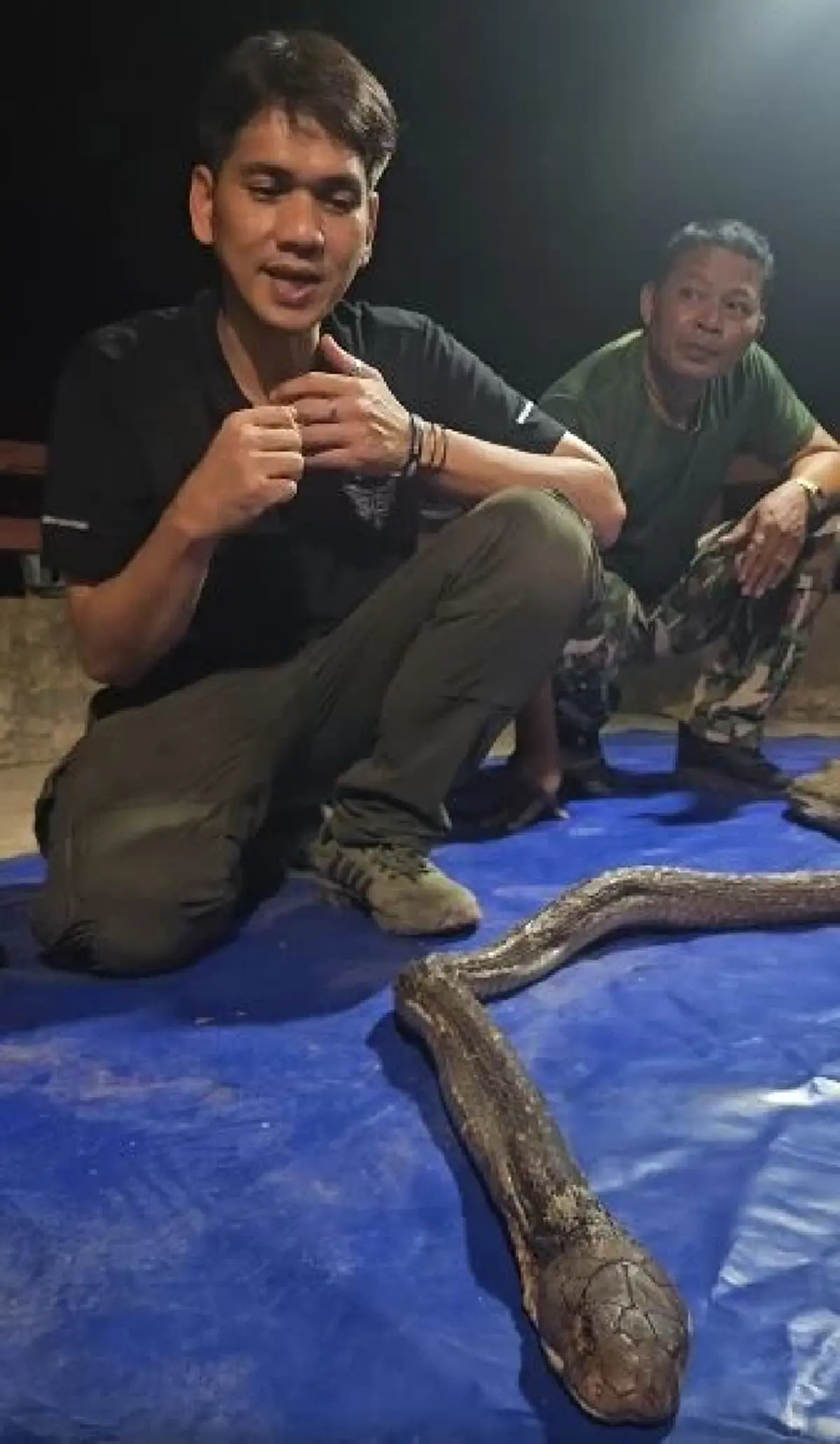 เศร้า บ่าวโปน งูจงอางยักษ์ผู้น่าสงสาร สู้ไม่ไหว จากไปแล้ว