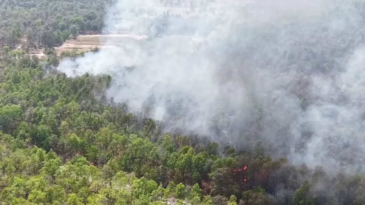 ไฟไหม้ป่าโคกหินลาดวอด 500 ไร่ สัตว์ป่าหนีตาย-คาดมือเผาหาของป่า