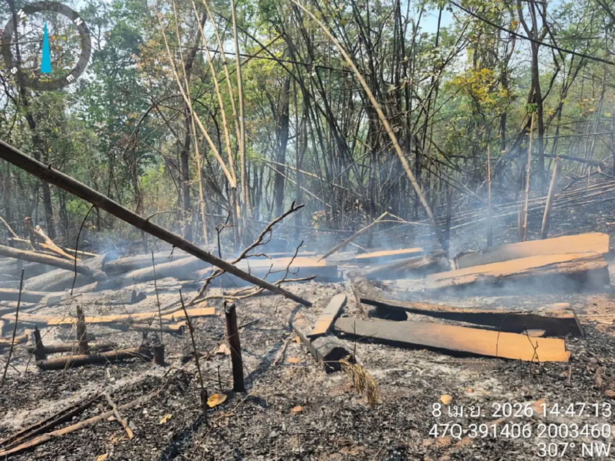 ดับไฟป่าเจอไม้สัก! แม่สะเรียงยึด 28 แผ่นเหลี่ยมซุกกอไผ่