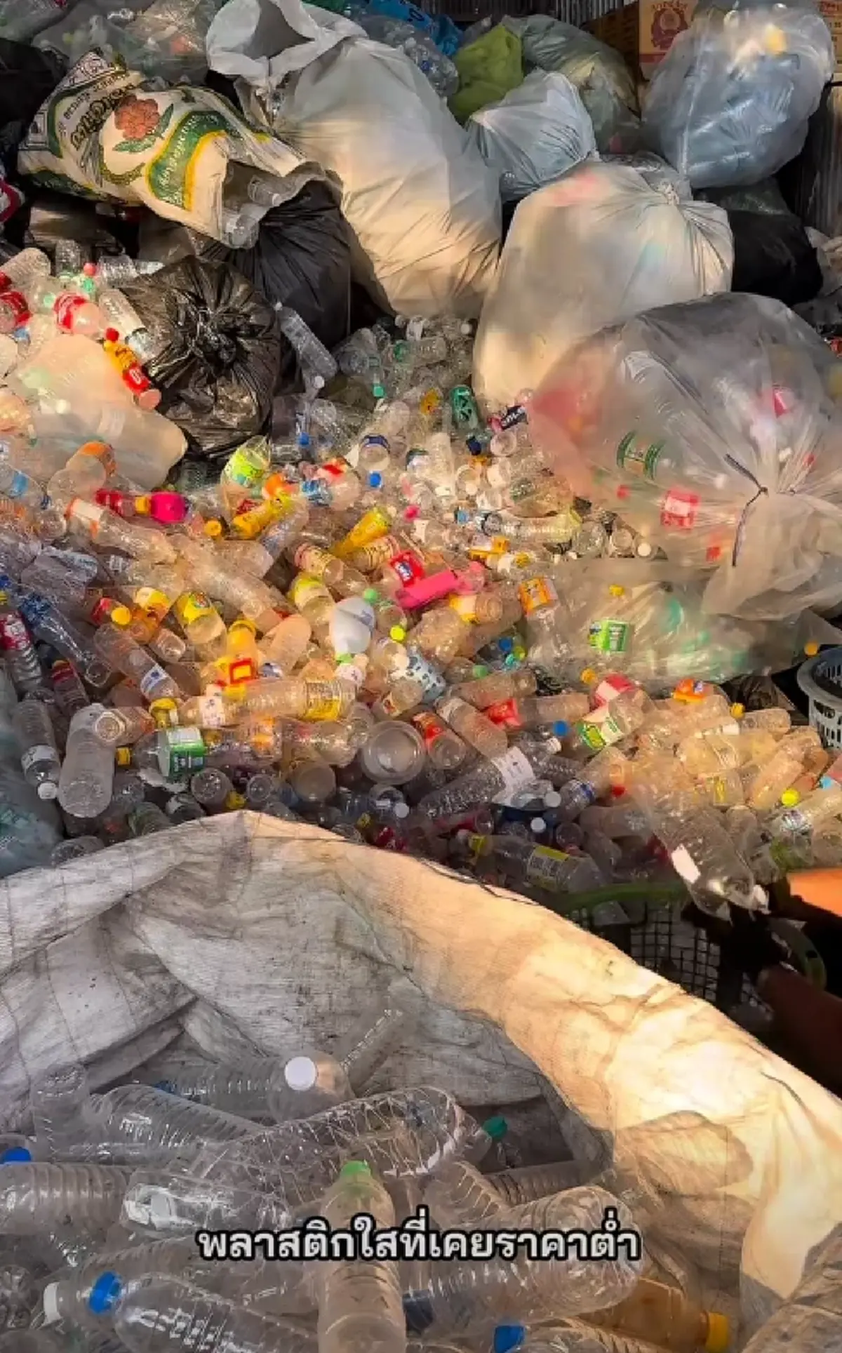 ร้านรับซื้อของเก่า เผยวิธีเปลี่ยนขยะไร้ค่า กลายเป็นราคาพุ่งแรง