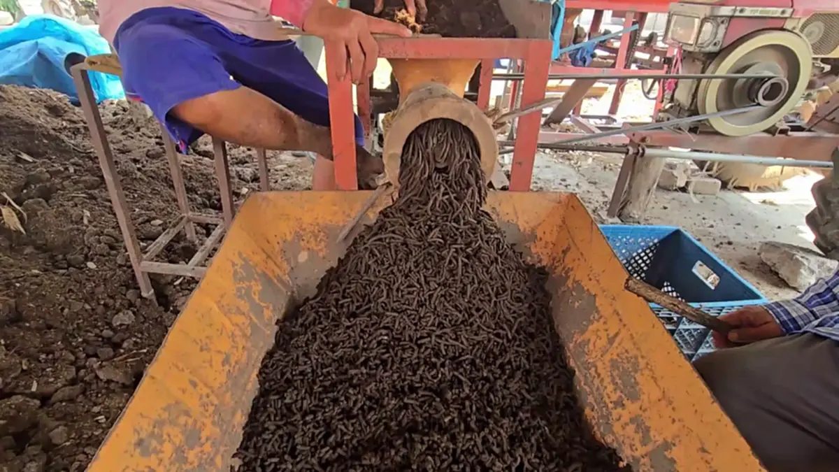 ปราชญ์อุทัยฯ วัย 78 ผุดปุ๋ยชีวภาพอัดเม็ดสู้ยุคของแพงลดต้นทุน