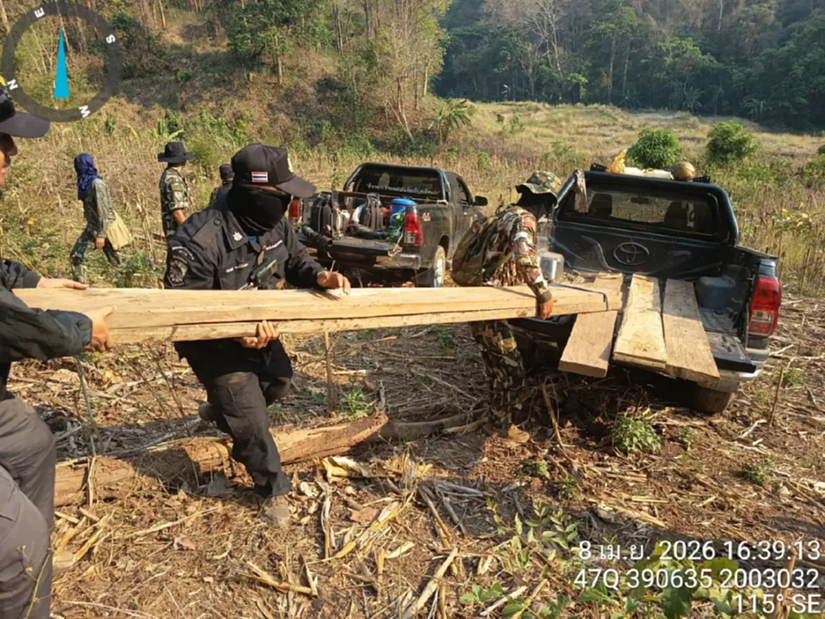 ดับไฟป่าเจอไม้สัก! แม่สะเรียงยึด 28 แผ่นเหลี่ยมซุกกอไผ่