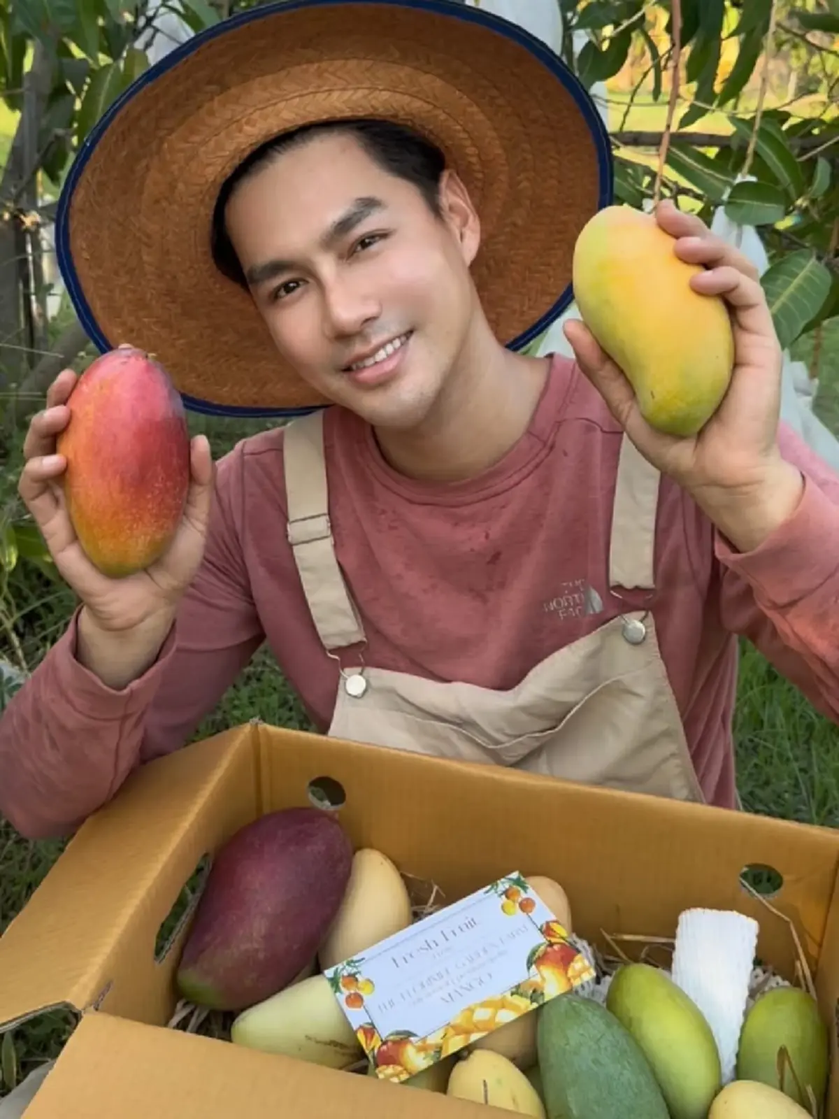  เพ็ชร ฐกฤต ตวันพงค์ พาเปิดสวนมะม่วง สอนเก็บผลแก่แบบมือโปร