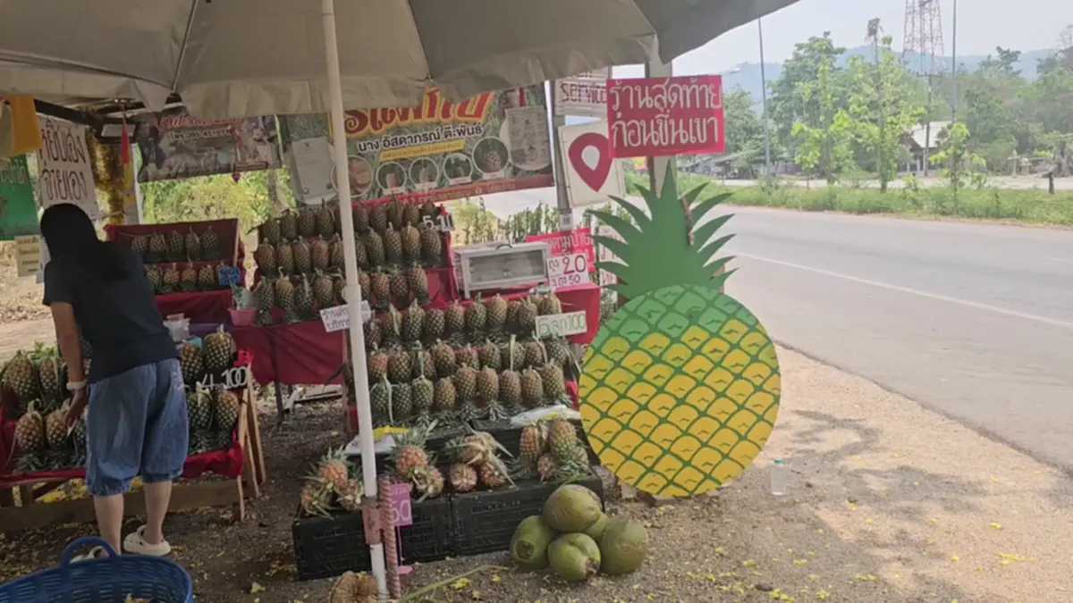 มิติใหม่! ร้านสับปะรดไร้คนเฝ้า 24 ชม. หยิบเองจ่ายเองวัดใจลูกค้า