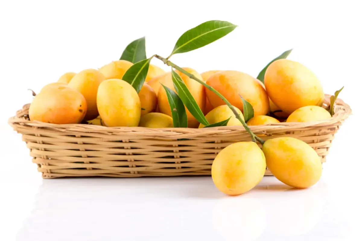 กรมทรัพย์สินทางปัญญา เสิร์ฟเมนูสุดพิเศษ "เดนิชมะยงชิด" บนโต๊ะมิชลิน! ยกระดับ GI ไทย