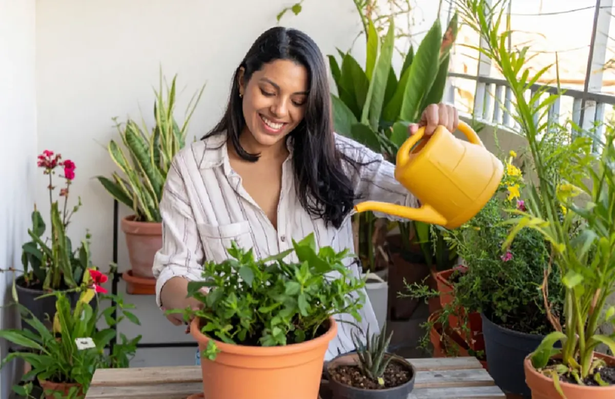 สวนระเบียงสไตล์ทรอปิคอล