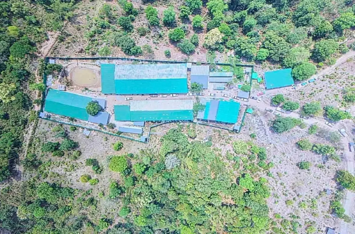 รวบจีน-ลาว! เมียนมาบุกทลายแก๊งสแกมเมอร์กลางป่าใกล้ท่าขี้เหล็ก