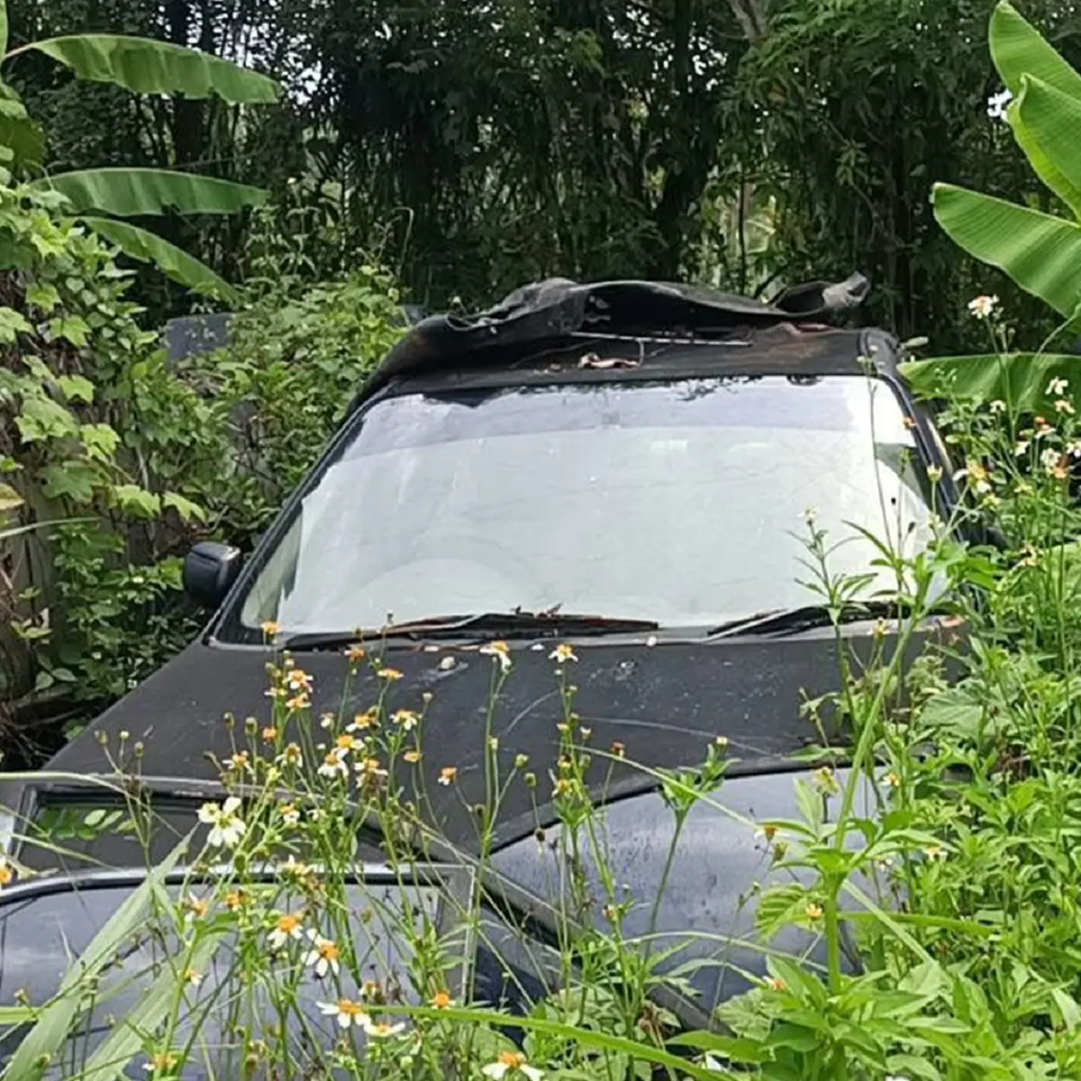 คาดสาเหตุ น้องเบส เสียชีวิตคาซากรถในป่า เบาะแสข้างรถ