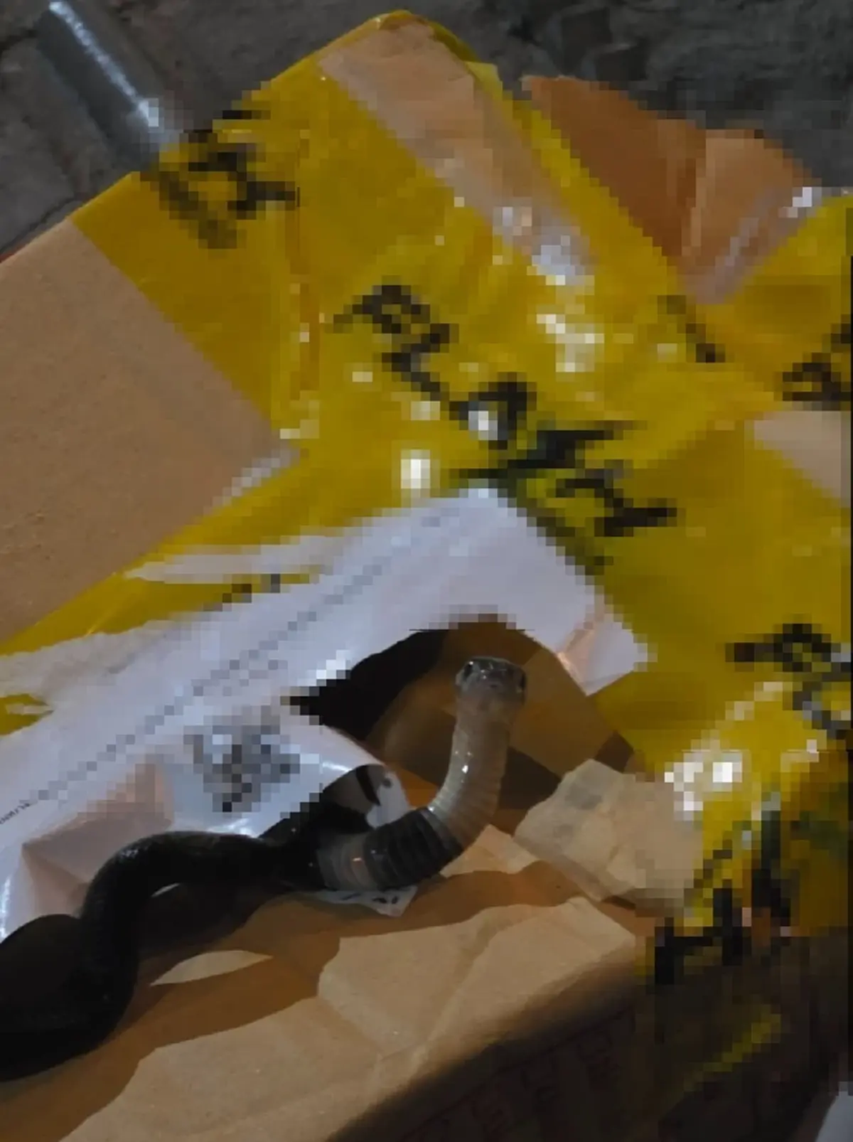 สาวแกะพัสดุ เจอตัวปริศนาติอยู่ในกล่อง รู้ตัวอะไรยิ่งขนลุก!