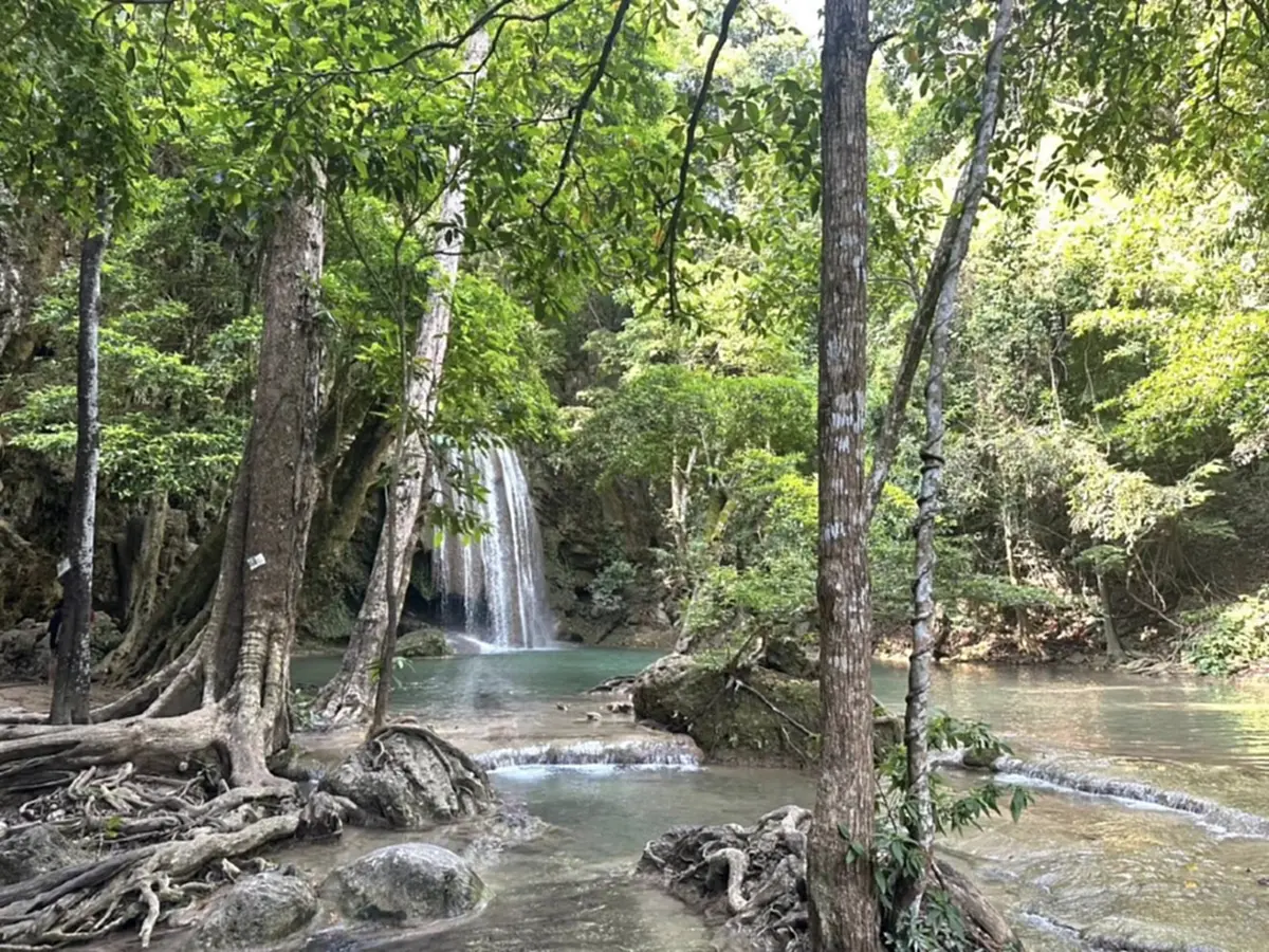 อุทยานฯ เอราวัณ เปิดเที่ยว-พักแรมแล้ววันนี้ หลังไฟป่าคลี่คลาย