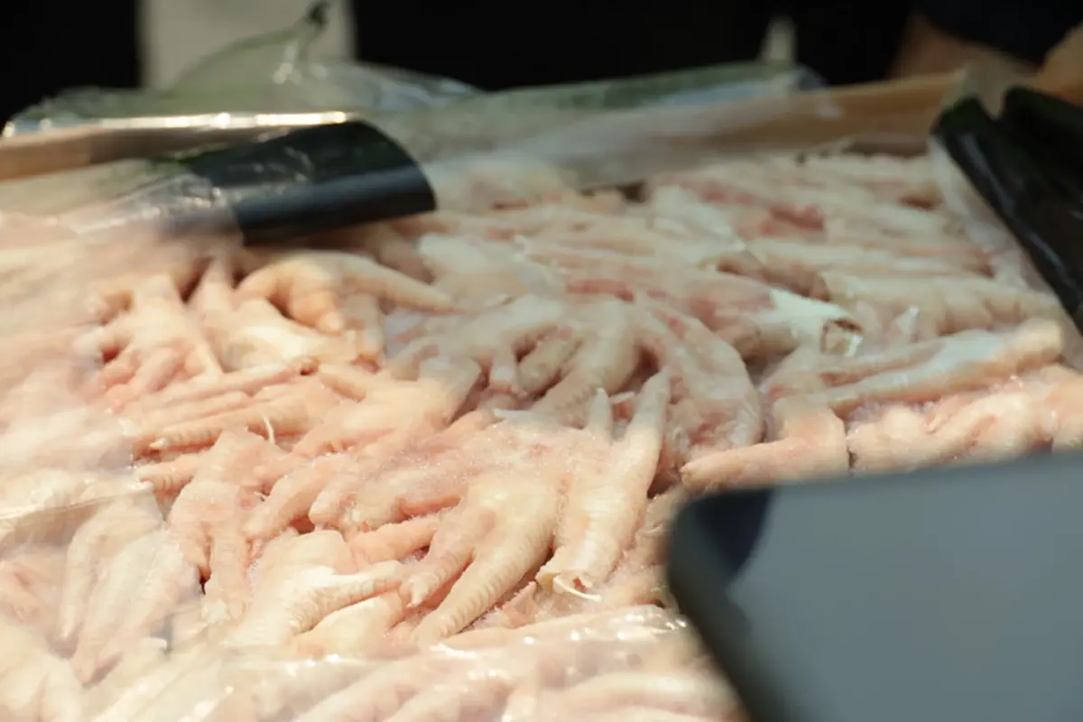 ยึดขาไก่เถื่อน 32 ตู้แหลมฉบัง 8.4 แสนกิโลฯ ไร้คนรับเป็นเจ้าของ