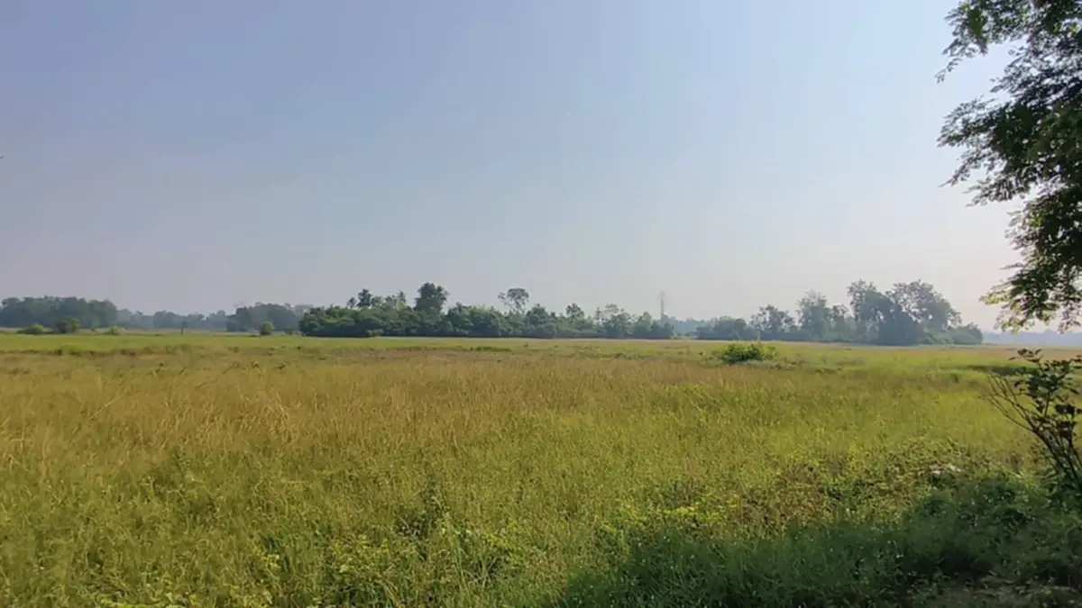 ชาวนาอุทัยฯ ยกหมู่บ้านหยุดทำนา สู้ต้นทุนไม่ไหว พิษน้ำมันแพง!