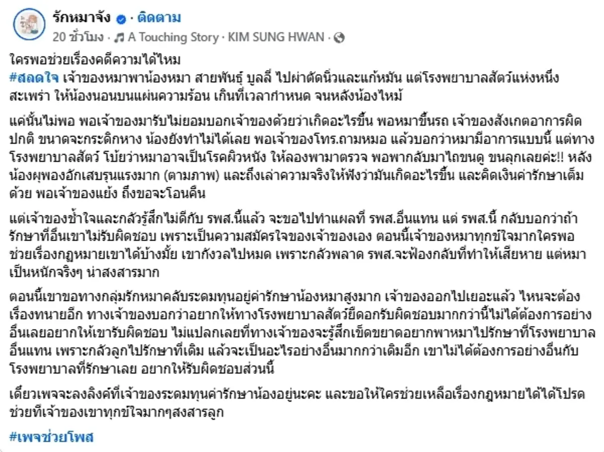 วิจารณ์สนั่น รพ.สัตว์ สุดชุ่ย ปล่อยหมาหลังไหม้ เห็นสภาพยิ่งสงสาร