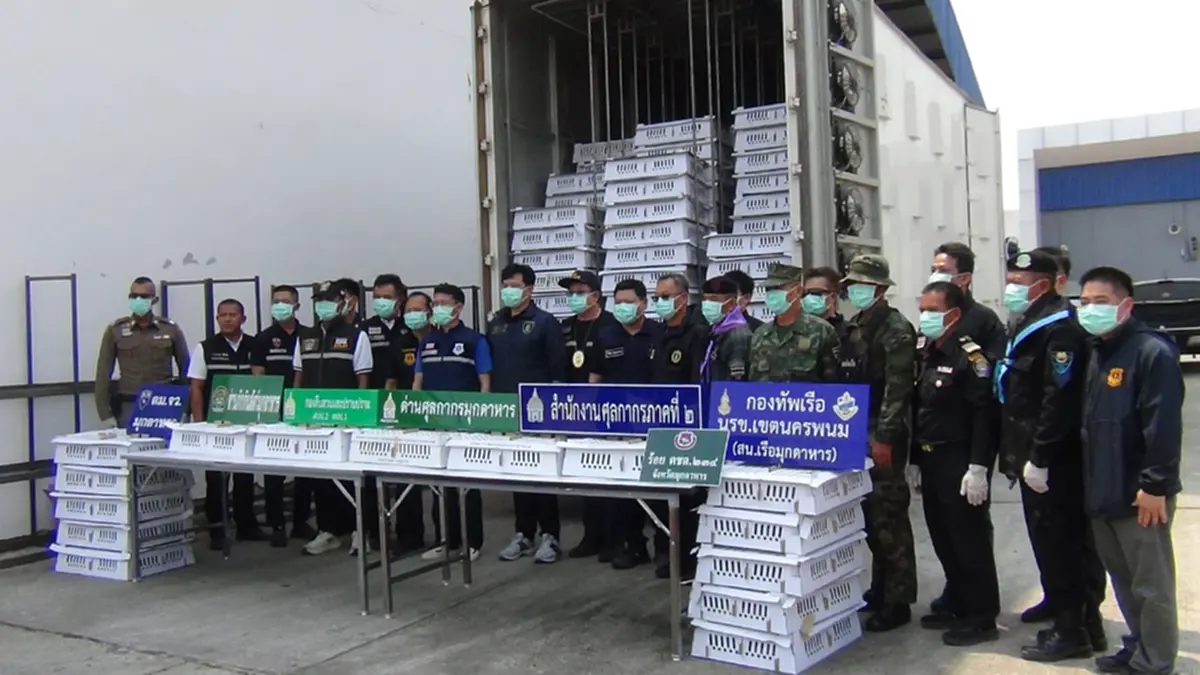 สกัดจับรถ 6 ล้อ ขนลูกไก่เถื่อนเวียดนามนับหมื่นตัวส่งอำนาจเจริญ