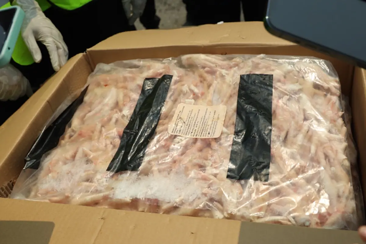 ยึดขาไก่เถื่อน 32 ตู้แหลมฉบัง 8.4 แสนกิโลฯ ไร้คนรับเป็นเจ้าของ