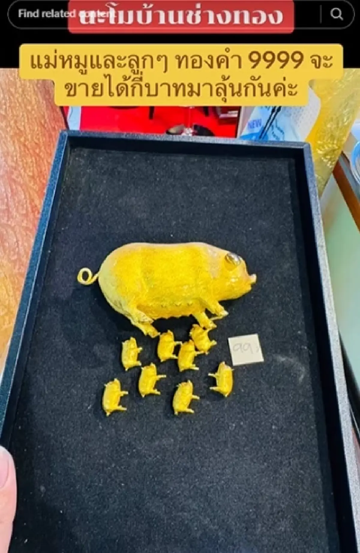 ลูกค้านำ ครอบครัวหมูทองคำ มองเผินๆ ดูน่ารัก ตีราคาออกมา ทุกคนตกใจ