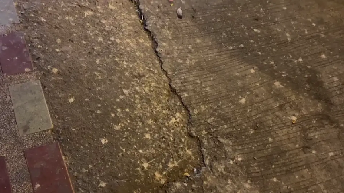 ชาวอ่างทองสุดทน นกนับแสนยึดใจกลางเมือง วอนเร่งแก้ปัญหามูลนก