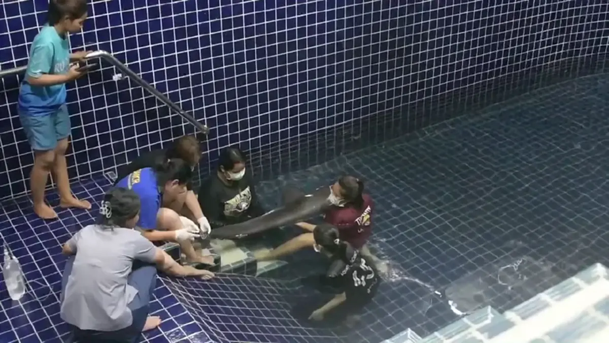 ภาพ @Phuket Aquarium