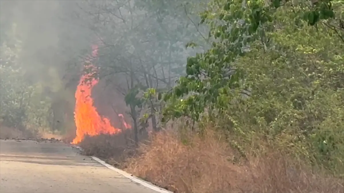 ไฟไหม้ป่าโคกหินลาดวอด 500 ไร่ สัตว์ป่าหนีตาย-คาดมือเผาหาของป่า
