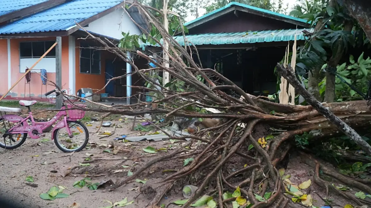 ลมหัวด้วนถล่มป่าบอน! บ้านพังร้อยหลัง พัทลุงเร่งกู้ซากช่วยด่วน