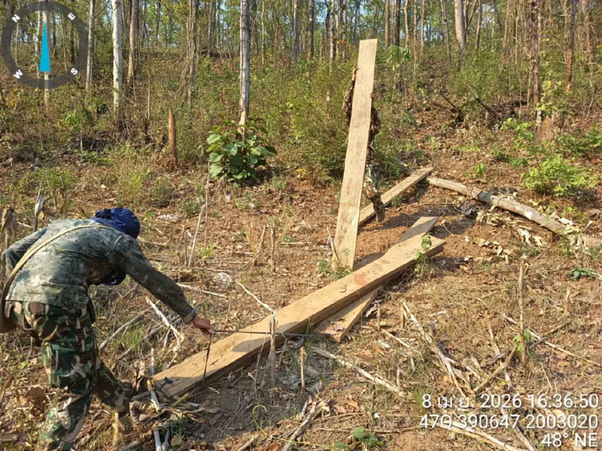 ดับไฟป่าเจอไม้สัก! แม่สะเรียงยึด 28 แผ่นเหลี่ยมซุกกอไผ่