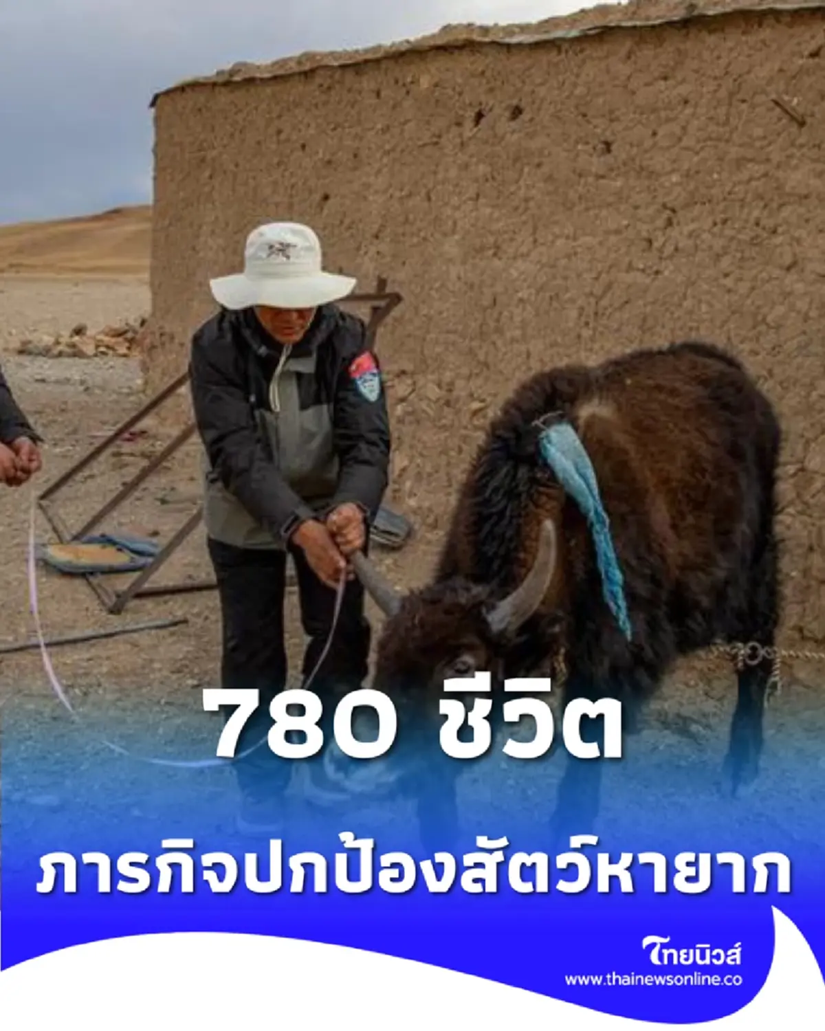 780 ชีวิตกับภารกิจปกป้องสัตว์หายาก ในสวรรค์กลางป่าซีจ้าง