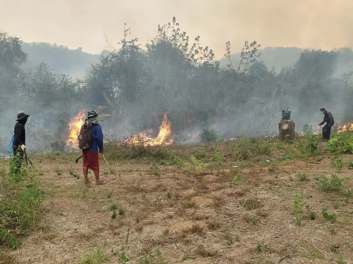 เลยวิกฤติหนัก! PM2.5 พุ่งแดงต่อเนื่อง ไฟป่าปะทุวันเดียว 54 จุด