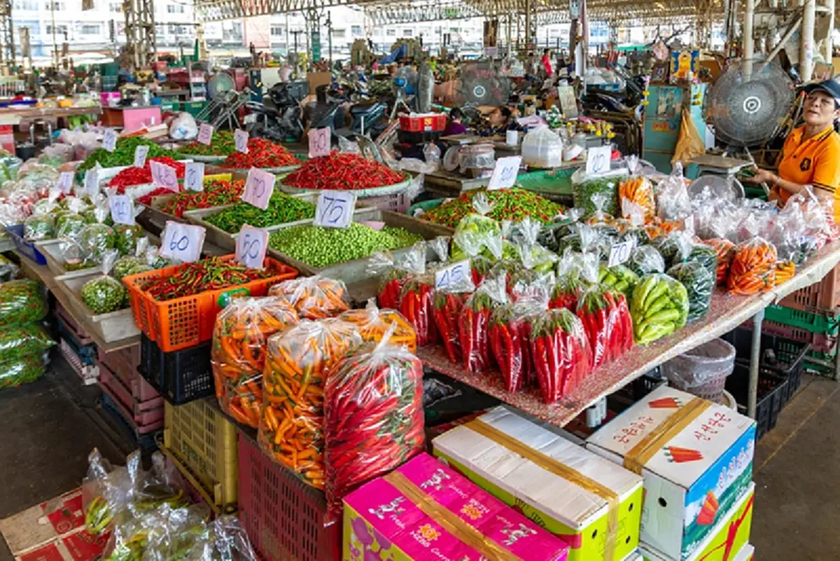 “คนละครึ่งพลัส เฟส 2”หรือ"ไทยช่วยไทย พลัส" ต้องลงทะเบียนใหม่?