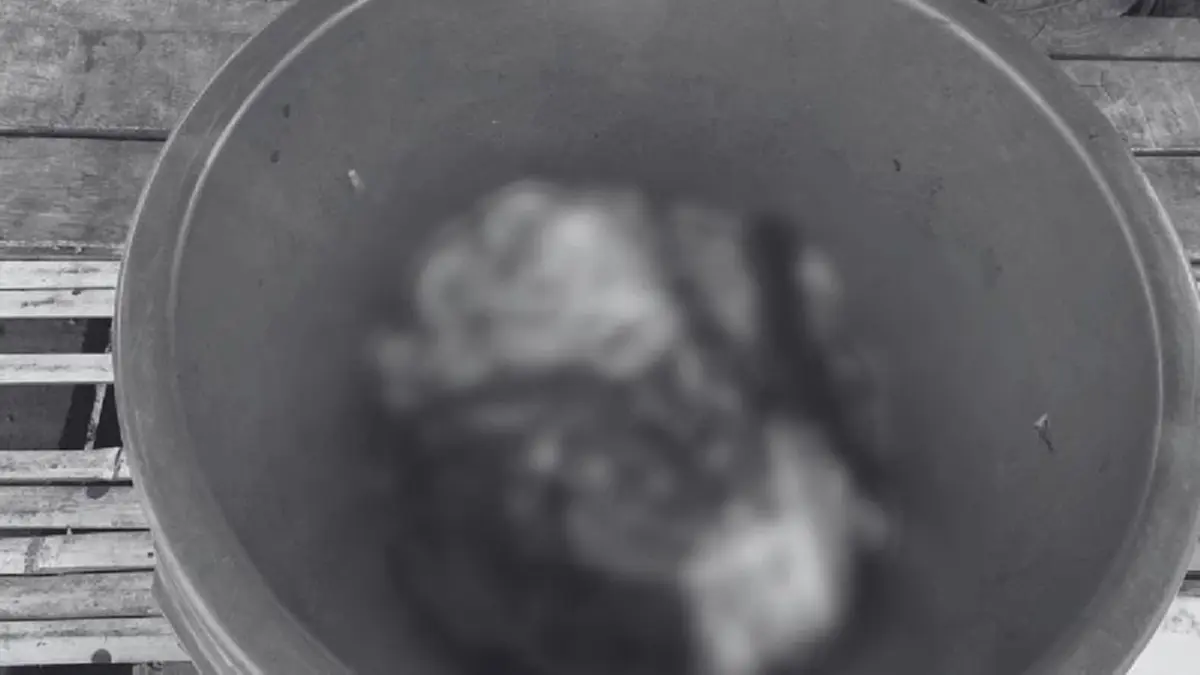 รวบคาเตา! ชายชำแหละเนื้อสุนัขอ้างเก็บซากมากิน ตรวจเจอฉี่ม่วง