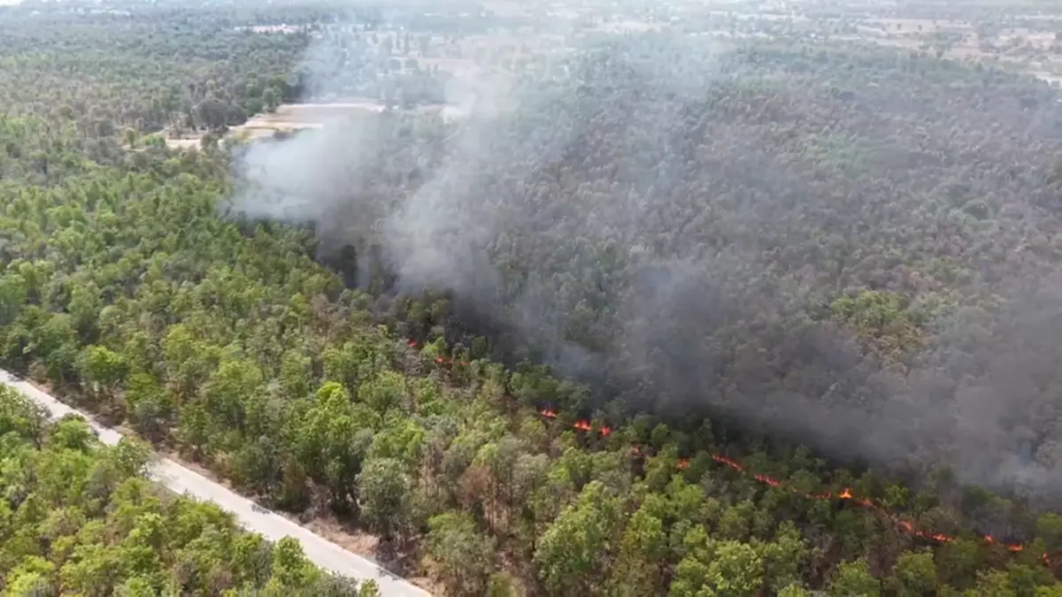 ไฟไหม้ป่าโคกหินลาดวอด 500 ไร่ สัตว์ป่าหนีตาย-คาดมือเผาหาของป่า