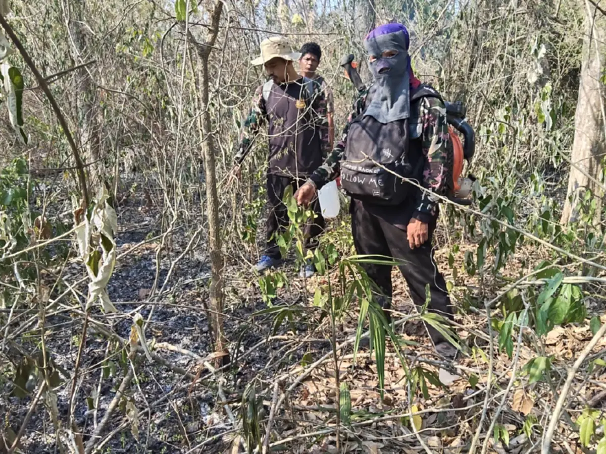 วิกฤติป่ามรดกโลก! ไฟไหม้ "แก่งกระจาน" เสียหายกว่า 1.1 หมื่นไร่