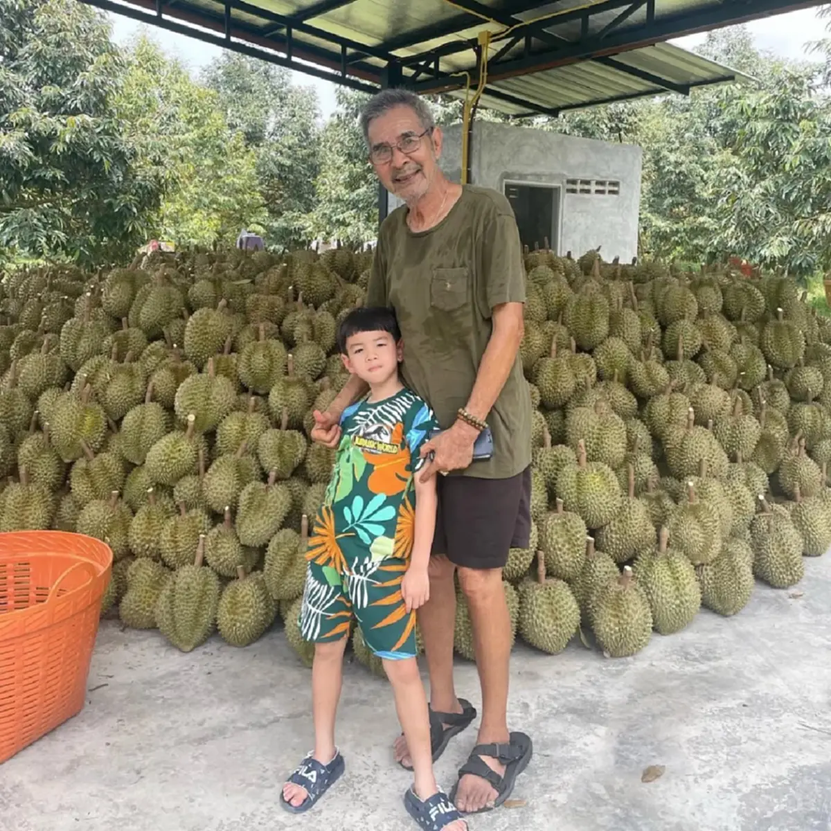 เรียบง่ายแต่สุขใจ ชลิต เฟื่องอารมย์ วัย 77 ใช้ชีวิตในสวนทุเรียน