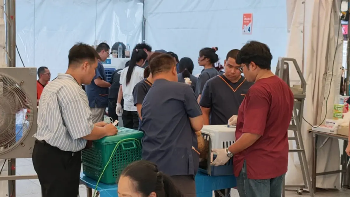 กรมควบคุมโรคจับมือจังหวัดโคราช ลุยล้างบางโรคพิษสุนัขบ้า
