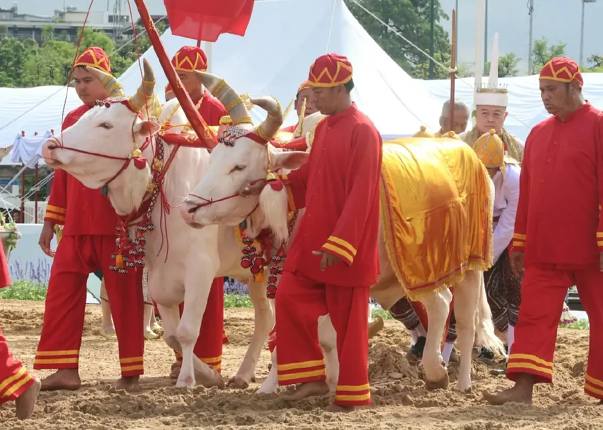 เลขมงคล วันพืชมงคล 2569 พระราชพิธีจรดพระนังคัลแรกนาขวัญ