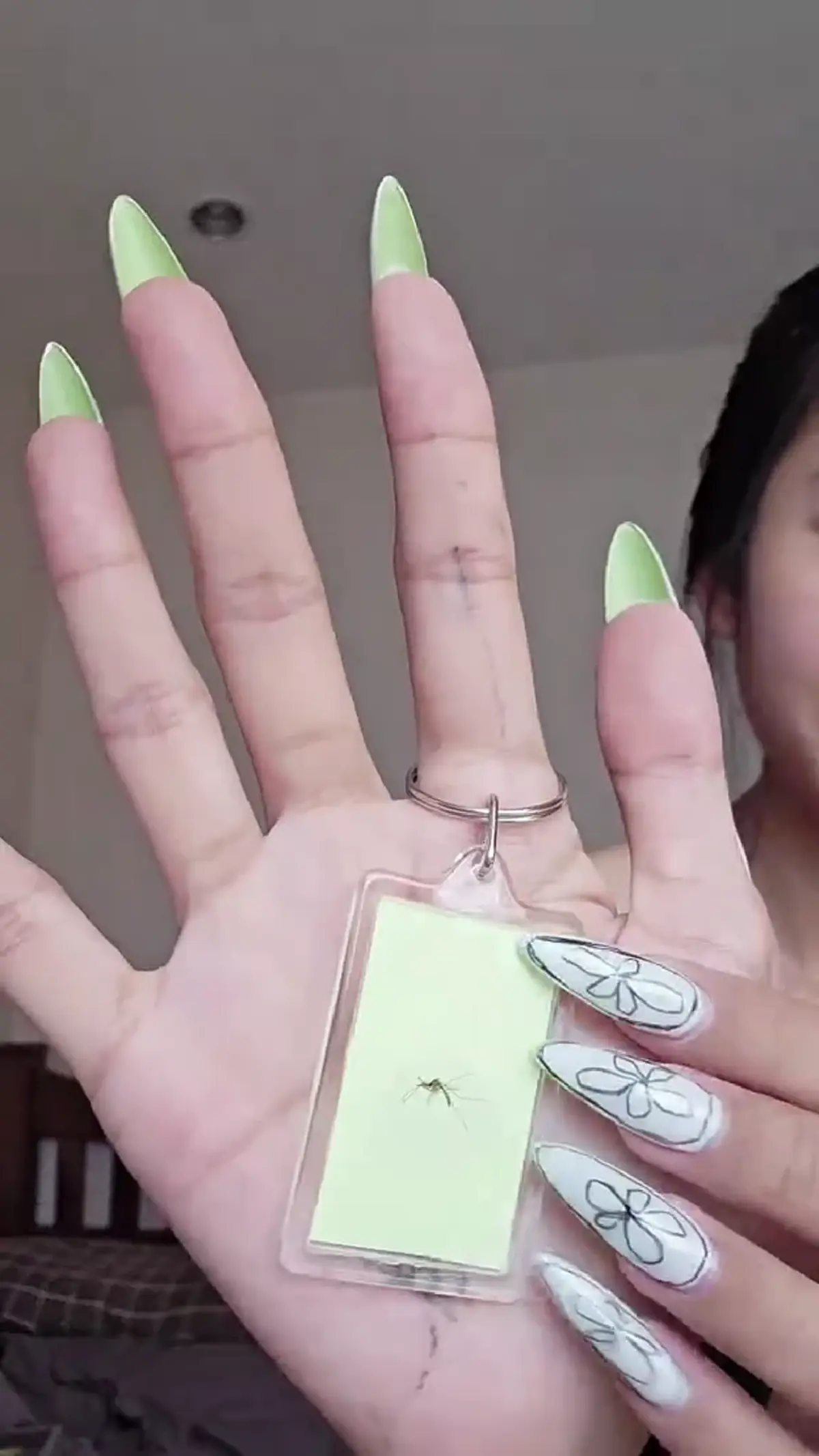 สาวไทยเปลี่ยน “ตบยุง” เป็นธุรกิจ ขายซากยุง รายได้หลักหมื่น