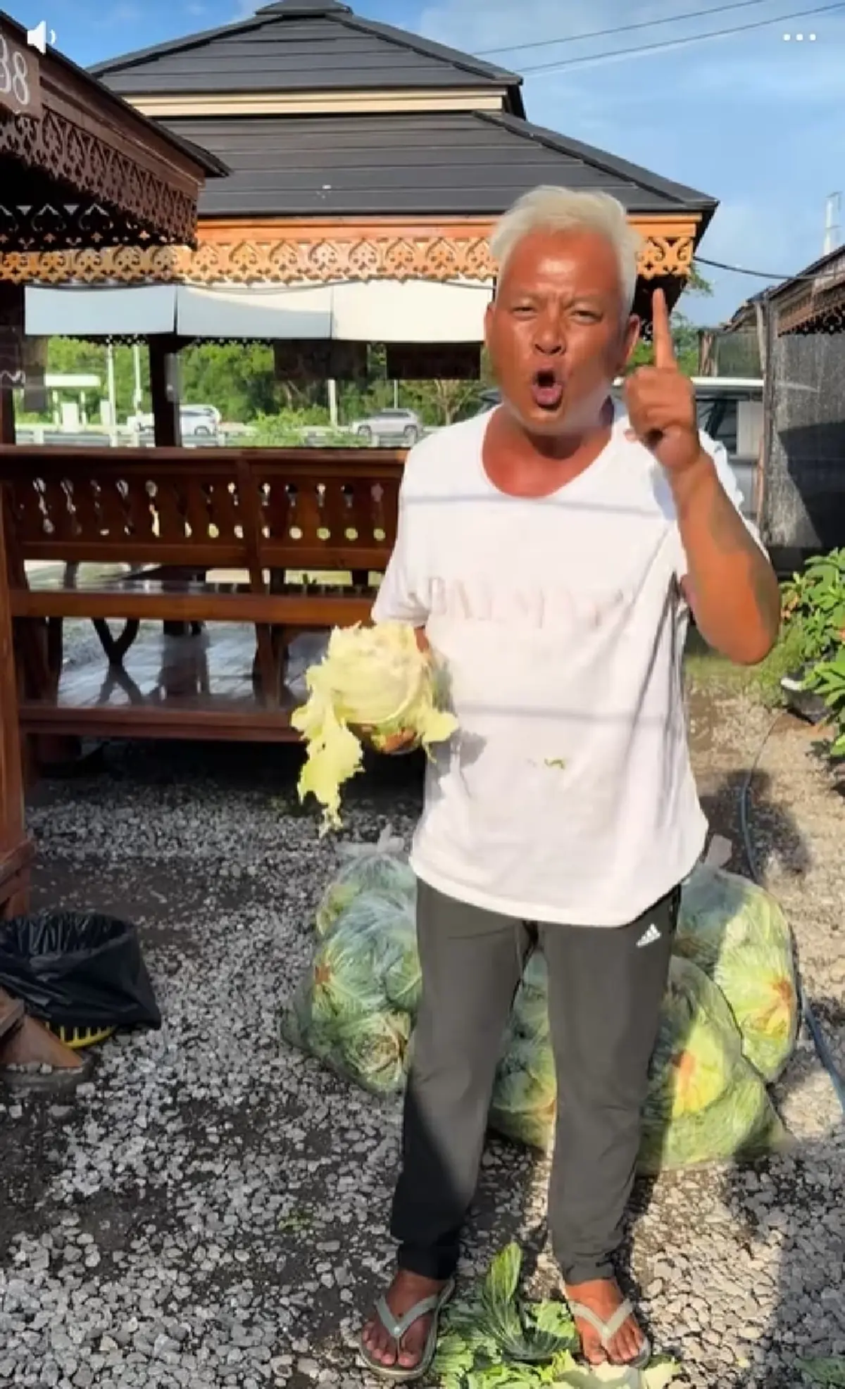 "ลุงโทนี่" เหยียบกะหล่ำปลีทิ้ง คาดสารพิษคร่าชีวิตควายเผือก 7 ตัว