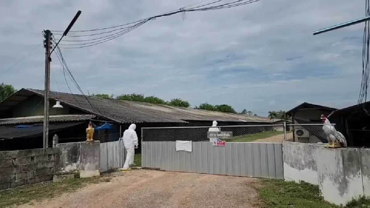 ลุยตรวจสอบฟาร์มไก่ หลังตายผิดปกติพุ่งเกิน 3% สั่งบันทึกกักสัตว์