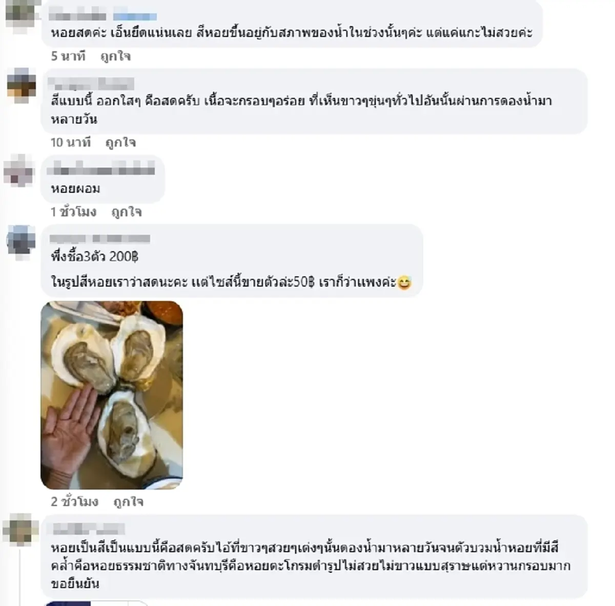เกิดมาเพิ่งเคยเจอ สาวซื้อหอยนางรมตัวละ 150 เห็นสภาพไม่กล้ากิน
