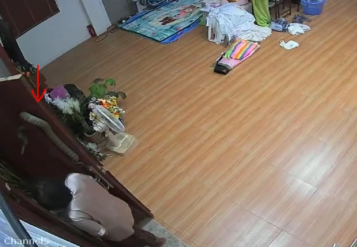 ยายแทบล้มทั้งยืน เจองูเกาะประตู เผชิญหน้าระยะประชิด!