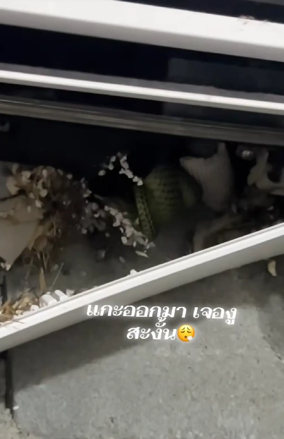 ช่างแอร์ผงะ ลูกค้าเรียกไปล้างแอร์ในรอบปี เปิดดูข้างในเจอเต็ม ๆ!