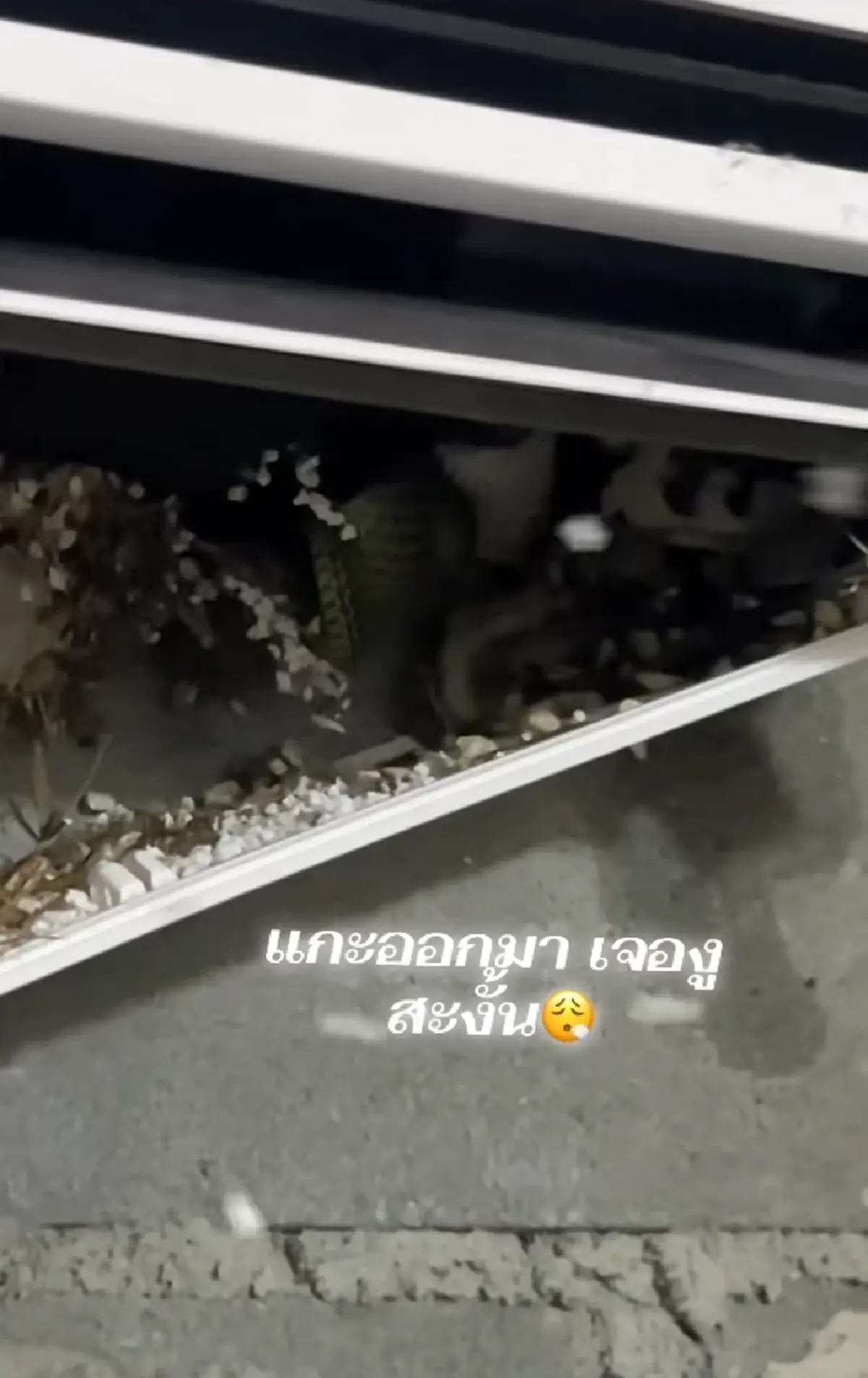 ช่างแอร์ผงะ ลูกค้าเรียกไปล้างแอร์ในรอบปี เปิดดูข้างในเจอเต็ม ๆ!
