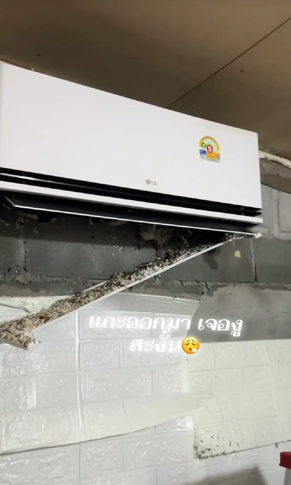 ช่างแอร์ผงะ ลูกค้าเรียกไปล้างแอร์ในรอบปี เปิดดูข้างในเจอเต็ม ๆ!