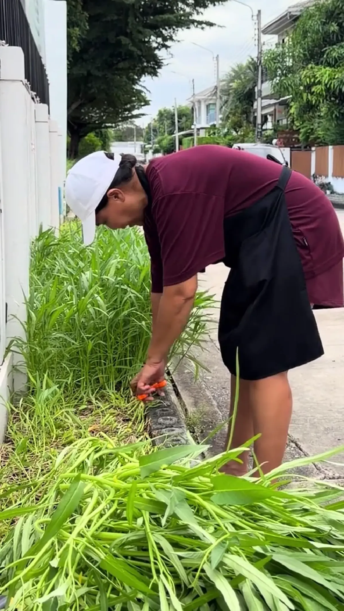 ตัวแม่วงการลูกทุ่ง เปิดวิถีชีวิต  เก็บผักในสวนมานั่งขายริมทาง