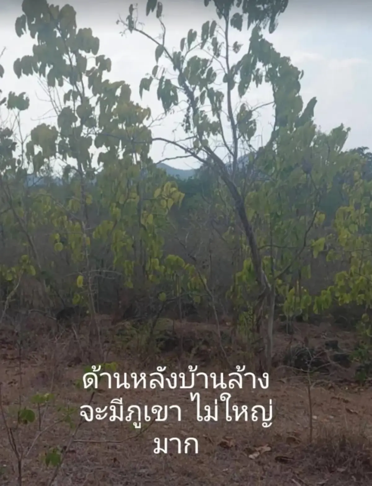 สาวบังเอิญเจอ ความลับหลังบ้านร้าง แอบซ่อนตัวอยู่หลายปี