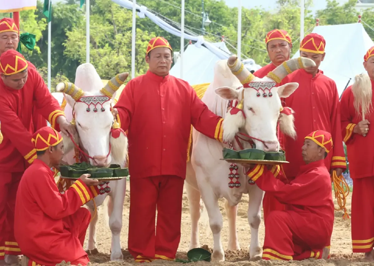 เลขมงคล วันพืชมงคล 2569 พระราชพิธีจรดพระนังคัลแรกนาขวัญ