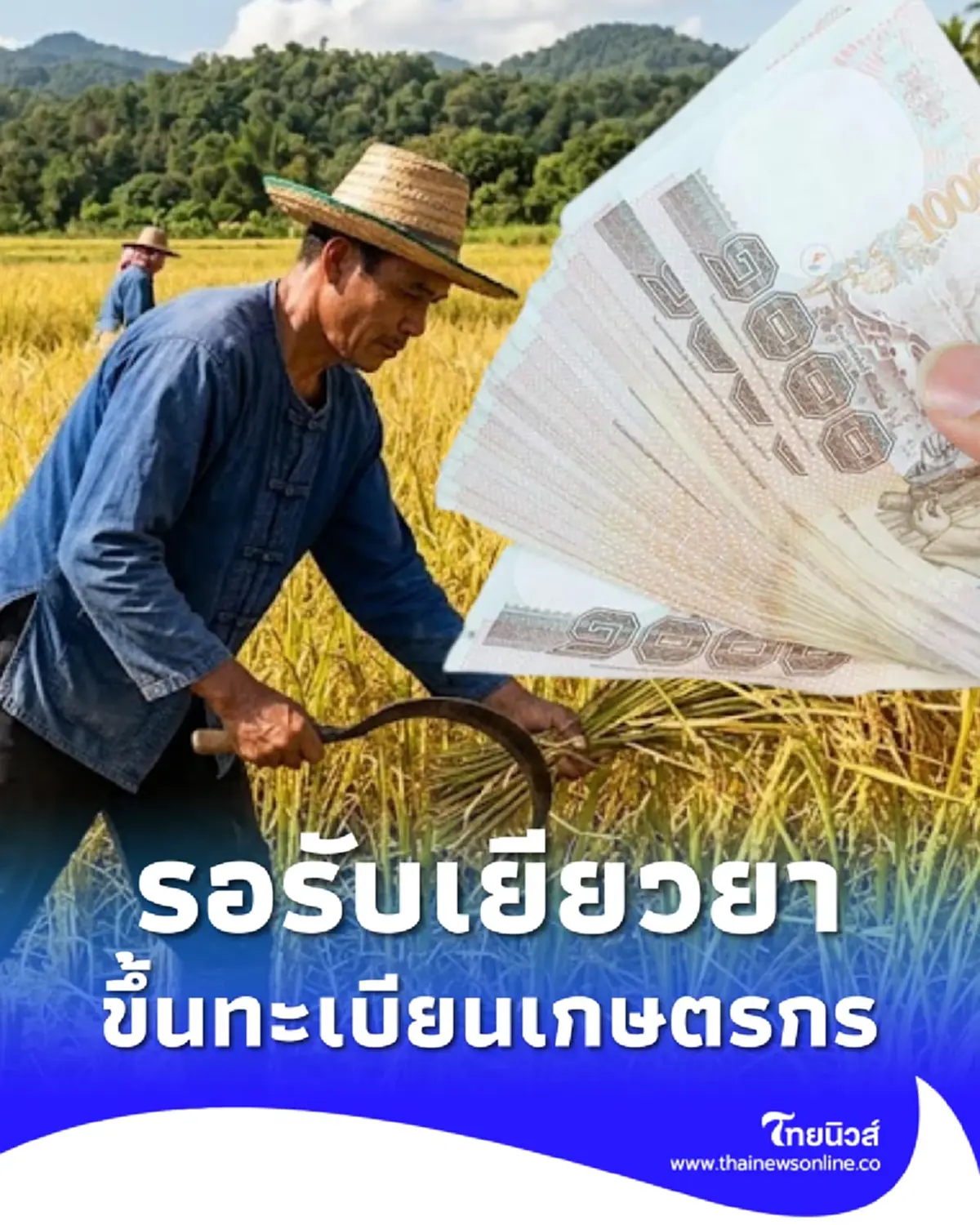 ขึ้นทะเบียนเกษตรกร 2569/70 รักษาสิทธิ รอรับเยียวยาจากภาครัฐ