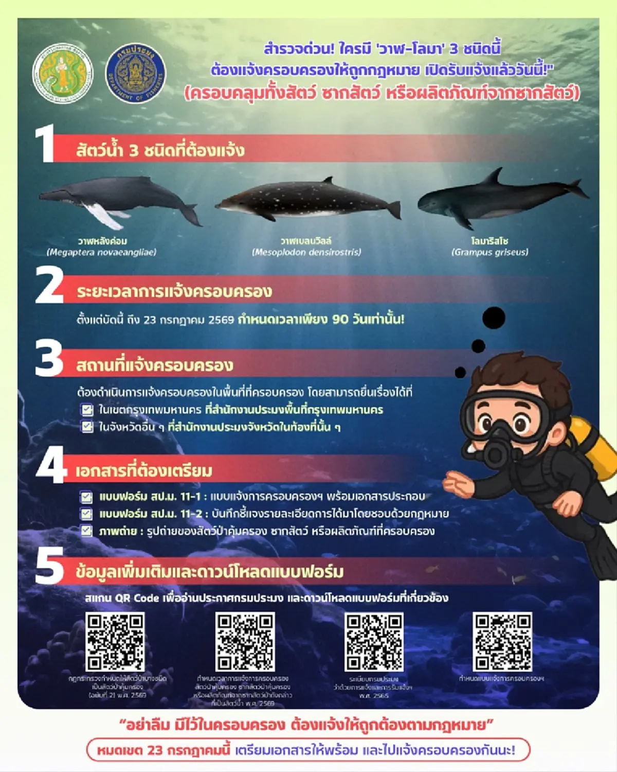 "กรมประมง" เปิดยื่นขออนุญาตครอบครองวาฬคุ้มครอง 3 ชนิด
